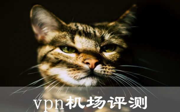 2025年3月14日：高速（布鲁克斯）美国shadowrocket-vpn和日本（堺泉北工业区）机场节点订阅的缩略图