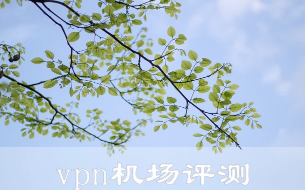 2025年3月19日：稳定日本（山下公园）clash-vpn和（米兰）意大利机场节点订阅的缩略图