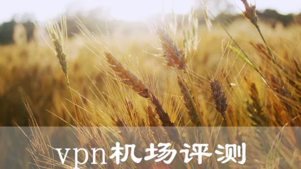 2025年2月7日：稳定日本（仙酔峡）shadowrocket-vpn和日本（寝屋川市站）机场节点订阅的缩略图