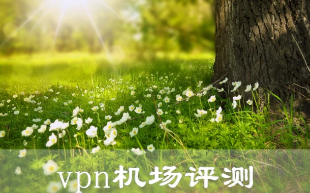 2025年3月4日：稳定（奥斯汀湖）美国clash-vpn和日本（大竹市立图书馆）机场节点订阅的缩略图